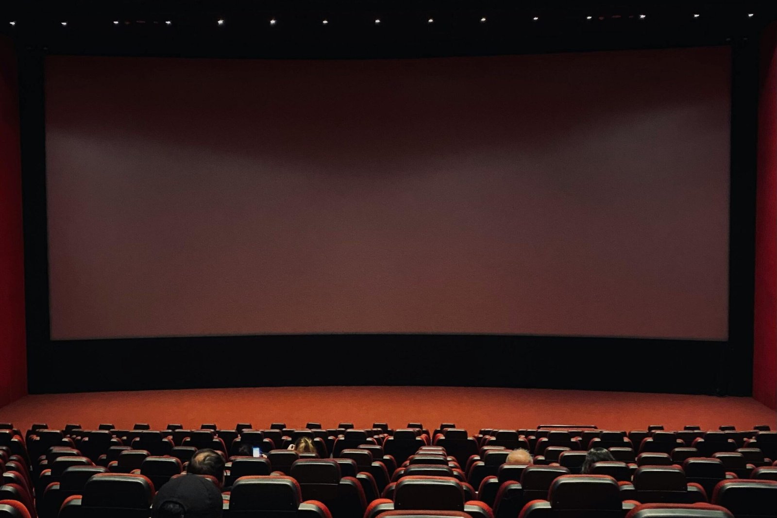 Image Source: İNZİLE DAL via Pexels