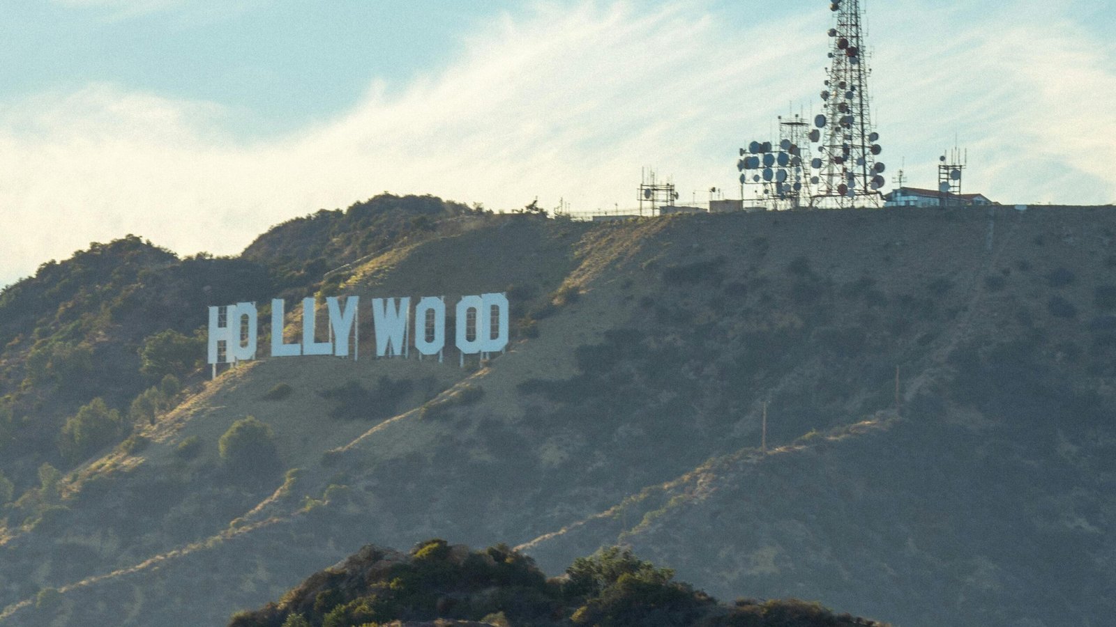 @Soly Moses via Pexels